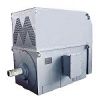Sell AC High Voltage Motor