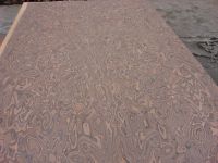 burl plywood