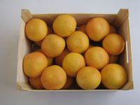 Oranges , Tangerines, Lemons, Grapefruit