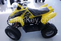 Desert Cat 100cc Quad bike ATV
