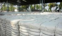 Raw Cotton From Pakistan