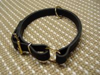 dog collar