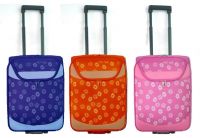 Trolley case
