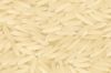 RICE SUPPLIER| PARBOILED RICE IMPORTERS| IMPORT