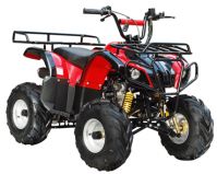 ATV-110D