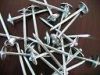Roofing Nails