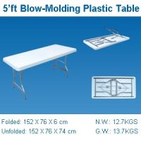 5'ft folding table