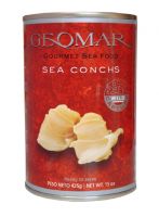 Sea Conch