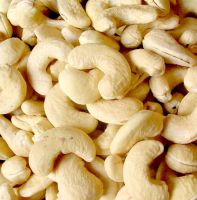 Dried Fruits | W240 Cashew Nuts Suppliers | W320 Cashew Nut Exporters | Cashew Nut Suppliers | Cashew Nut Exporters | Cashew Nut Manufacturers | Cheap Cashew Nut | Wholesale Cashew Nut