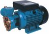 DB clean water pump