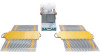Weighing System