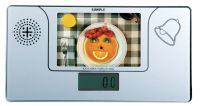 Desktop Scale