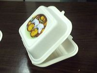 take away food container