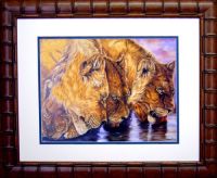 photo picture frame