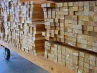Teak wood
