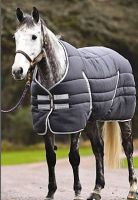 Horse Blanket