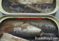 125gr canned sardine in oil