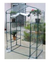 Walk in Green House