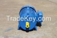 Electric Motor