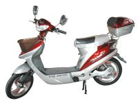 Electric Bicycle