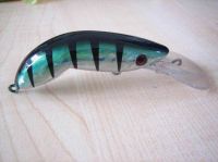 Shrimp