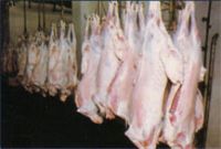 FRESH CHILLED GOAT AND LAMB MEAT