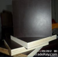 phenolic board film faced plywood