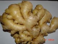 https://cn.tradekey.com/product_view/Air-dried-Ginger-872294.html
