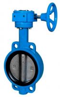 Wafer and lug butterfly valve