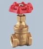 gate valve (v23-1001)