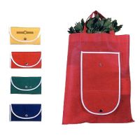 non woven bag 3