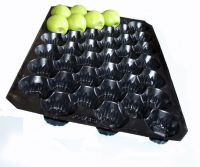 Plastic Insert Tray for Fruit