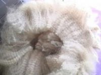 https://cn.tradekey.com/product_view/Alpaca-And-Llama-Raw-Fleece-877850.html