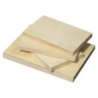 poplar plywood