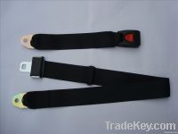 Simple 2 Points Auto Seat Belt (DJL-B001)