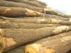 Wood Import Agency