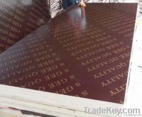 Black Film faced Plywood
