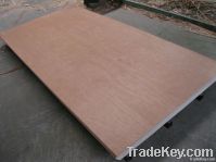 Okoume Plywood