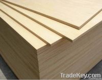 Commercial Plywood-E2