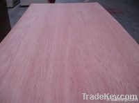 Furniture Plywood