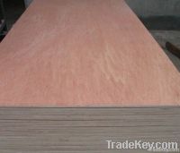 Bintangor/Okoume Plywood
