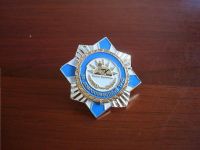 Lapel Pins
