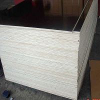 film faced plywood/shuttering plywood/marine plywood