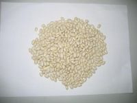 white kidney beans