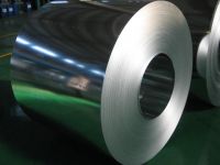 Hot dip galvanized steel coils &amp; sheets