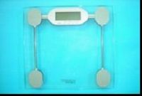 weight scale