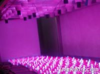 led grow light