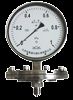 Diaphragm pressure gauge From China