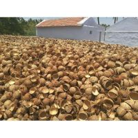 Wholesale Best Quality Raw Coconut Shell And Palm Kernel Shell Material Agriculture Waste