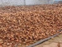 Wholesale Best Quality Raw Coconut Shell And Palm Kernel Shell Material Agriculture Waste